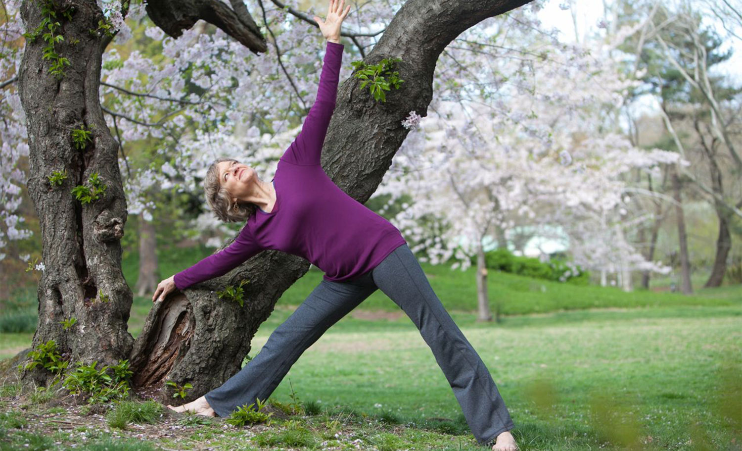 Ellen Saltonstall Yoga