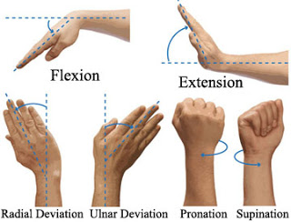 wrist movements defined
