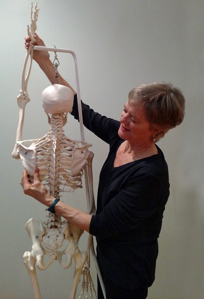 Ellen Saltonstall, Anatomy